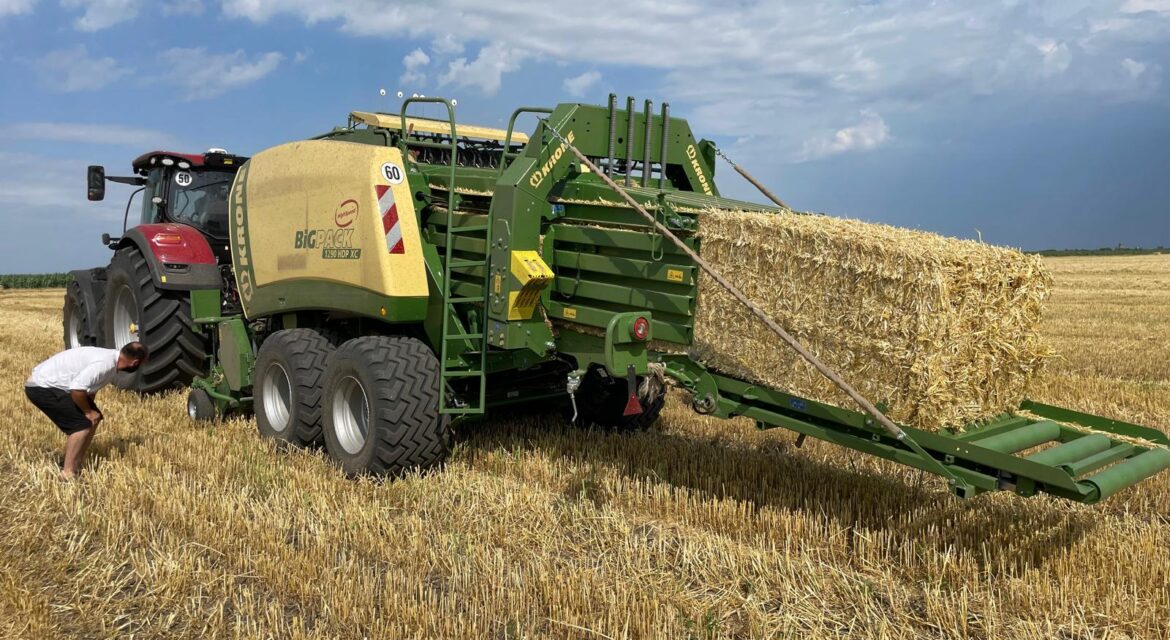 Asternut paie pentru Gaini